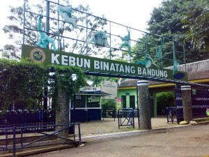 Kebun-Binatang-Bandung1