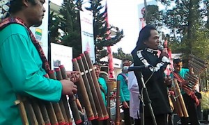 IMG-20150906-WA0005 IMG-20150906-WA0005