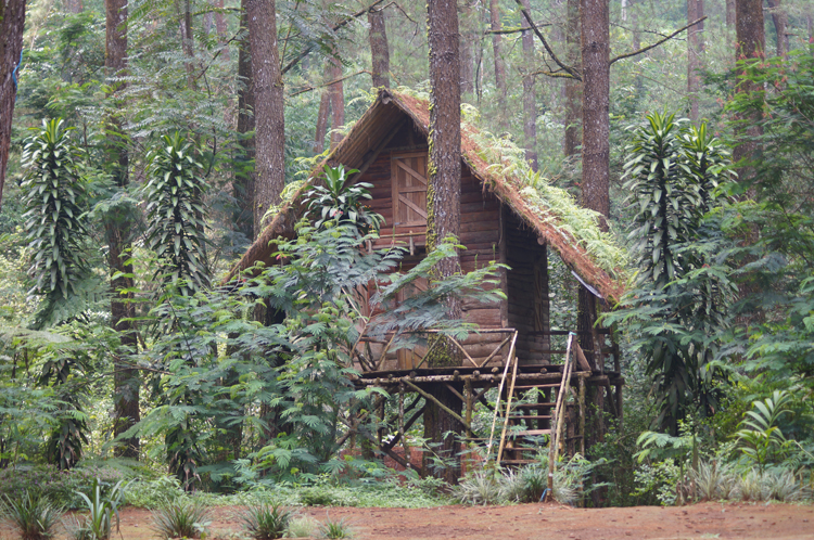 Serunya Kemah di Rumah Pohon Taman Buru Gunung Masigit Kareumbi