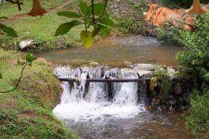 kareumbi3 kareumbi3