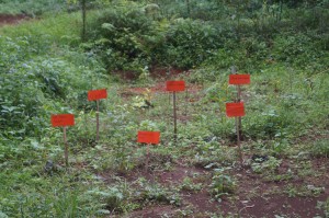 kareumbi4 kareumbi4