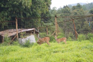 kareumbi7 kareumbi7