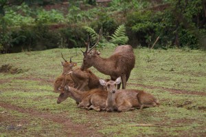 kareumbi8 kareumbi8