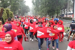 Foto 9 Foto 9