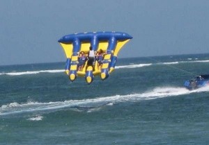 flying-fish flying-fish