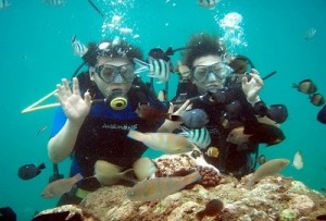 scuba-diving scuba-diving