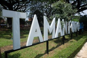 taman fotography taman fotography