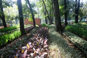 taman kandaga puspa taman kandaga puspa