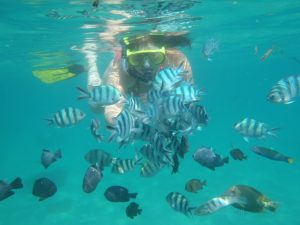 img_20161026_160921