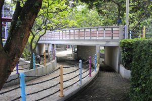 img_20161124_061523