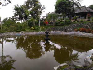 img-20161214-wa0003 img-20161214-wa0003