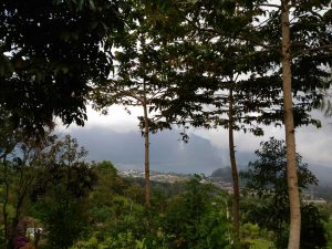 img-20161214-wa0004 img-20161214-wa0004