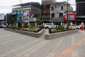 _MG_0873 _MG_0873