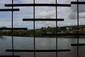 _MG_0993 _MG_0993