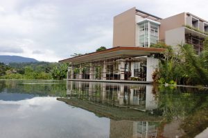 _MG_1150 _MG_1150