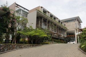 _MG_1203 _MG_1203