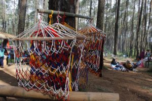 _mg_9645 _mg_9645