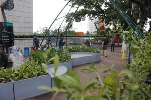 _MG_3883-1 _MG_3883-1