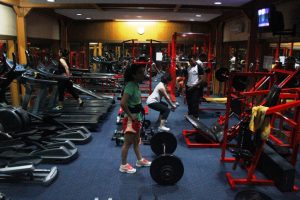 _MG_4291 _MG_4291