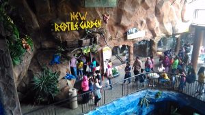 IMG_20170331_180604