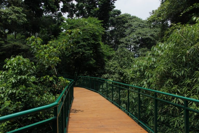 Keren Nih ,Wajah Baru Forest Walk di Baksil Kota Bandung