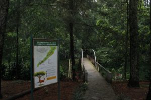 Tahura Dago Bandung