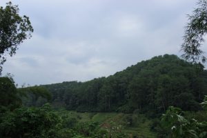 Tempat wisata Bandung Tahura Bandung