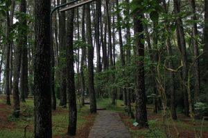 Tempat wisata Bandung Tahura