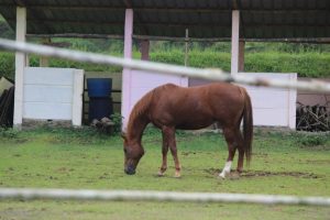 IMG_0560