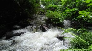 IMG-20170515-WA0016 IMG-20170515-WA0016