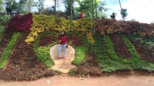IMG-20170519-WA0005