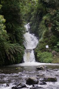 IMG_20170508_224816 IMG_20170508_224816