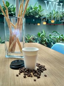 IMG-20170713-WA0051