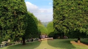 Tempat wisata Bandung Bukit Jamur Rancabolang