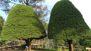 IMG-20170718-WA0012