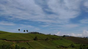IMG-20170719-WA0005
