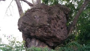 IMG-20170728-WA0002 IMG-20170728-WA0002