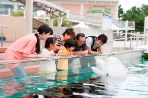 Yokohama Hakkeijima Sea Paradise2 Yokohama Hakkeijima Sea Paradise2