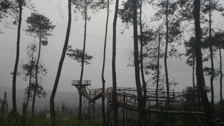 Wanawisata Nyawang Bandung Tempat Outbound Terbaru di Lembang