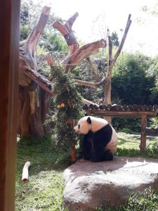 IMG-20171225-WA0053 IMG-20171225-WA0053