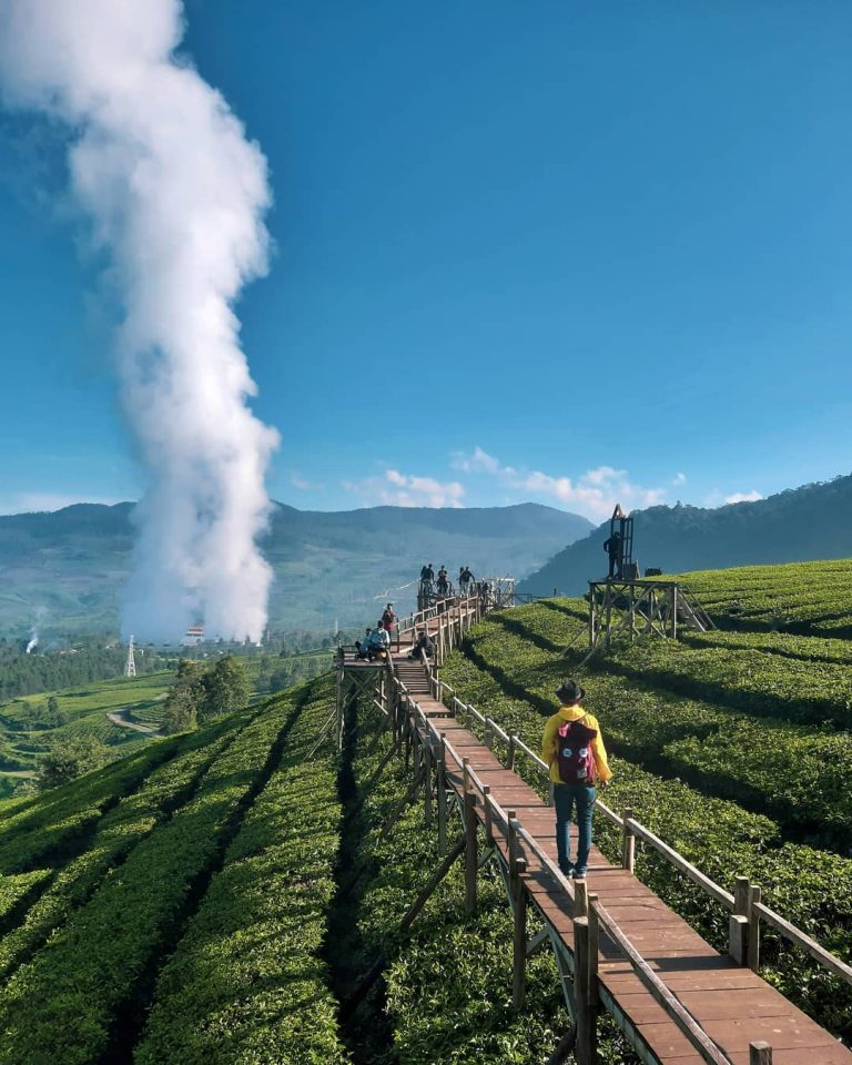 Wayang Windu Panenjoan Pangalengan: Tempat Wisata Terbaru di Bandung dengan View Kebun Teh, Inilah Harga Tiket Masuk, Rute dan Lokasinya