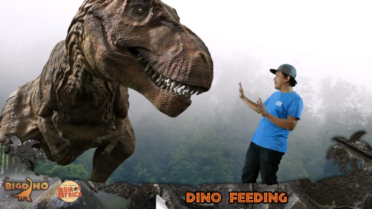 Mau Kasih Makan Dinosaurus di Bandung? Datang Aja ke Bigdino Feeding Dinosaurus, Berikut Review, Harga Tiket Masuk dan Lokasinya