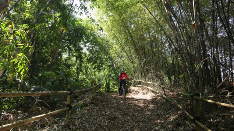 Hutan Bambu di Bukit Mbah Garut Cisurupan Bandung Mirip di Kyoto Jepang, Cocok untuk Bersepeda