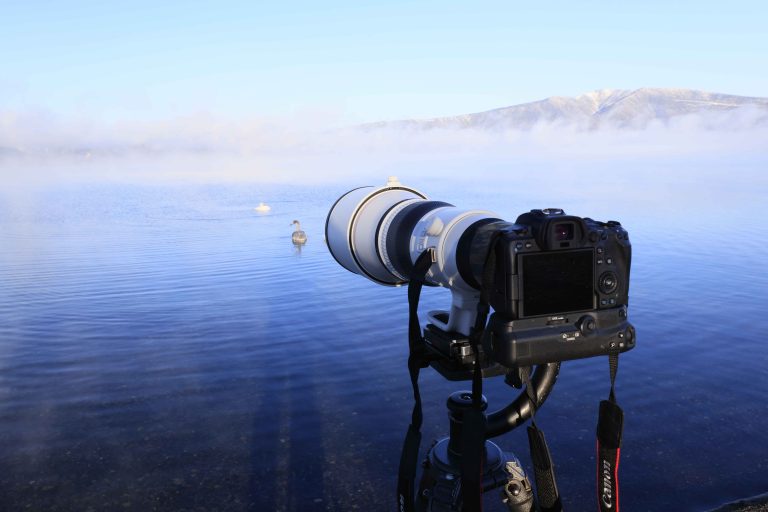 Canon RF400mm f 2.8L IS USM dan RF600mm f 4L IS USM Lensa Super Telephoto Andalan dengan Mount RF, Inilah Harga dan Spesifikasinya