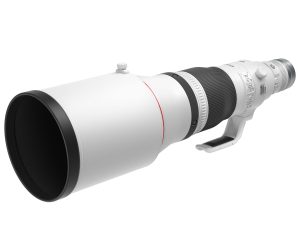 RF600mm f 4L IS USM