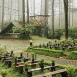 Tempat wisata Bandung Orchid forest Cikole Lembang Bandung