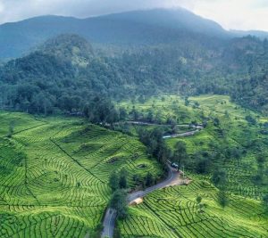 Salah satu daerah wisata di Bandung Raya yang berlokasi di Rancabali, Ciwidey. Foto: Instagram @ahmadsopung