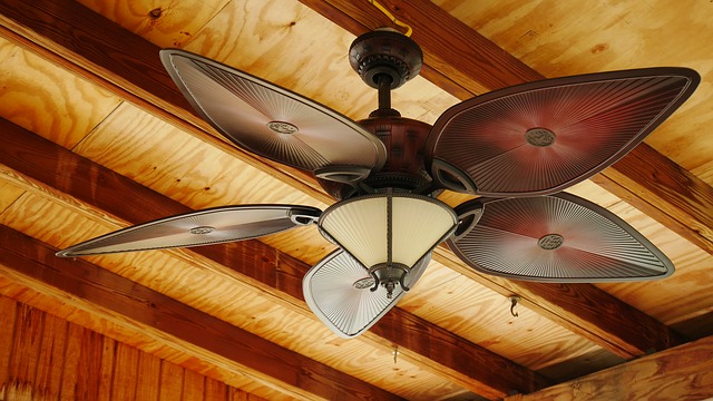 4 Tips Memilih Kipas Angin yang Tepat Buat Di Rumah