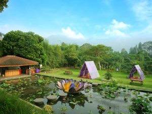 01. Lotus Garden