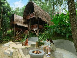 01. Rumah Pohon